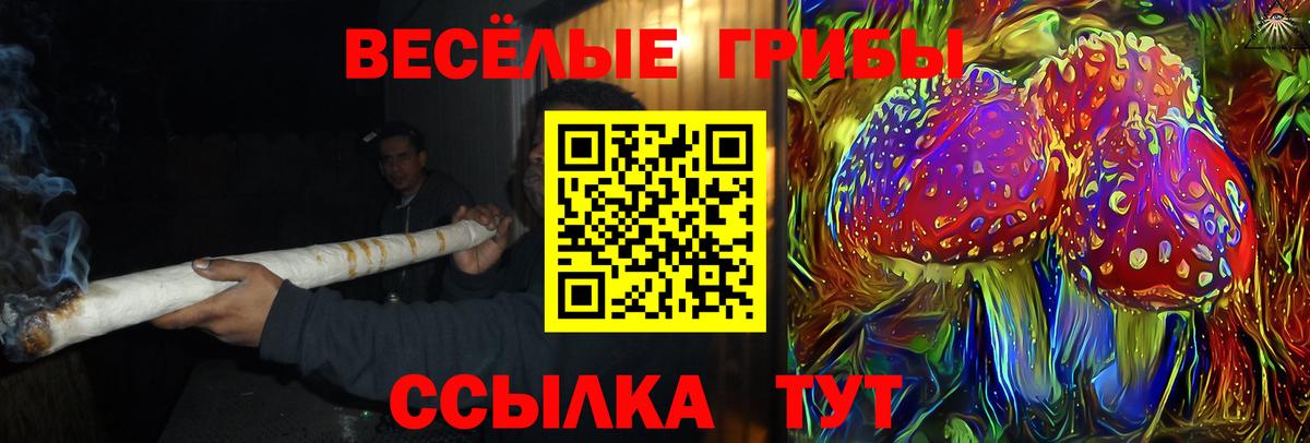 Галлюциногенные грибы Psilocybe  Вход с VPN  Псилоцибиновые грибы ЛСД  Лабинск 